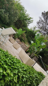 Photo de galerie - Entretien jardin 