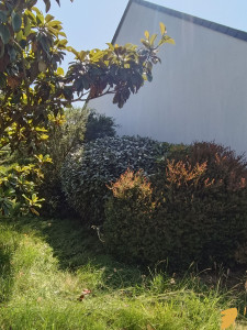 Photo de galerie - Taille 