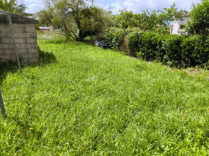 Photo de galerie - Entretien d'un jardin sur telgruc sur mer