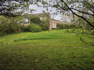 Photo de galerie - Tondre l'herbe 