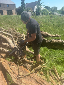 Photo de galerie - élagage d’un arbre mort 