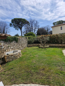 Photo de galerie - Taille de l'olivier  et de la haie de photonia Scarification et regarnissage  de la pelouse