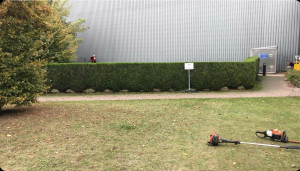 Photo de galerie - Paysagiste - Aménagement du jardin