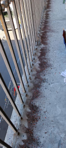 Photo de galerie - Peinture - Tapisserie