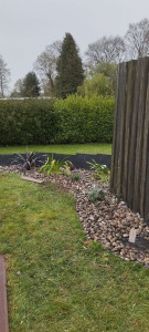 Photo de galerie - Création d'un massif