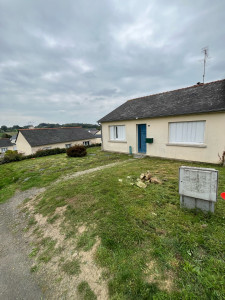 Photo de galerie - Tonte de pelouse - Débroussaillage