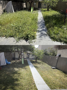 Photo de galerie - Débroussaillage +tonte 