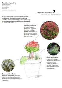 Photo de galerie - Fiche conseil pour plantation en pot