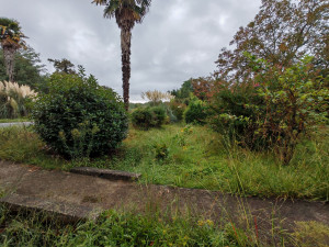 Photo de galerie - Avant