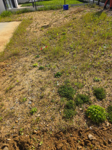 Photo de galerie - Avant