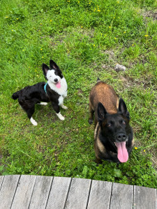 Photo de galerie - Yvonne et Roy en balade
