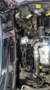 Photo de galerie - Réparation moteur ford fiesta