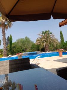 Photo de galerie - Piscine 2010