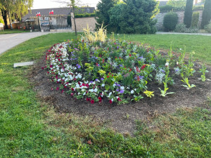 Photo de galerie - Plantation de massifs 