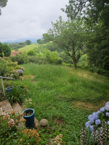 Photo de galerie - Tonte de pelouse - Débroussaillage