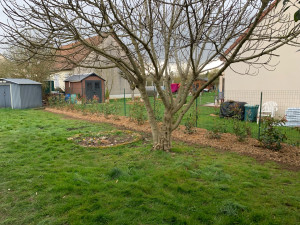 Photo de galerie - Plantation d’une haie de photinia avec paillage en brf et mise en place d’un goutte à goutte 