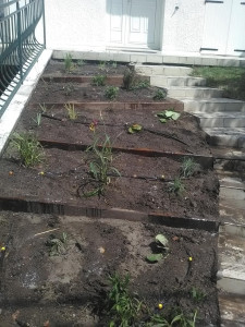 Photo de galerie - Paysagiste - Aménagement du jardin