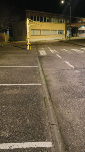 Photo de galerie - Ramassage de feuilles mortes 