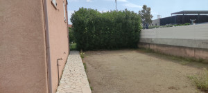 Photo de galerie - Taille de haie avant