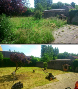 Photo de galerie - C'était très très haut on voit bien le travail avant et après cela a pris du temps la terrasse aussi a été refaite complète