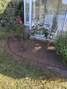 Photo de galerie - Désherbage de massif 
