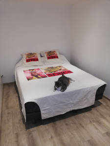 Photo de galerie - Transformation d'un garage une piè
ce de vie