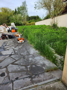 Photo de galerie - Tonte de pelouse - Débroussaillage