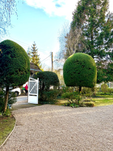 Photo de galerie - Impeccable ?? 