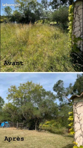 Photo de galerie - Débroussailleuse