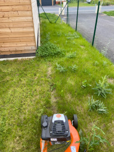 Photo de galerie - Tonte de pelouse sur Ribecourt 