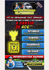 Photo de galerie - Transport de véhicules - Remorquage