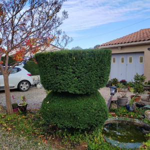 Photo de galerie - Apres