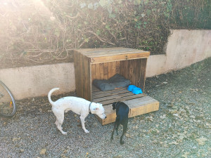 Photo de galerie - Cabane pour se reposer et s'abreuver chez PikSam Petsitter Professionnel 