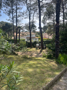 Photo de galerie - Débroussaillage à chiberta 