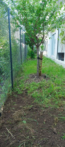 Photo de galerie - Paysagiste - Aménagement du jardin