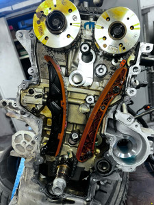 Photo de galerie - Distribution 