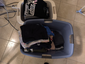 Photo de galerie - Bougé à convenir 