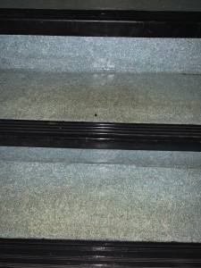 Photo de galerie - Ménage