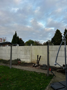 Photo de galerie - Coupe d’arbre  