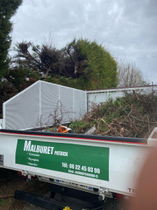 Photo de galerie - Taille de haie