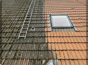 Photo de galerie - Nettoyage toiture, 