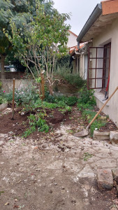 Photo de galerie - Paysagiste - Aménagement du jardin