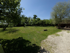 Photo de galerie - Tonte de pelouse - Débroussaillage