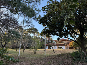 Photo de galerie - Remise en état complète d’un jardin sans entretien depuis longtemps 