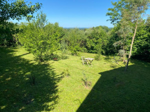 Photo de galerie - Tonte de pelouse - Débroussaillage