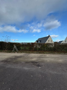 Photo de galerie - Taille de haies et d'arbustes