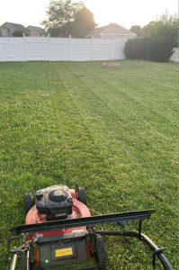 Photo de galerie - Entretien de jardin 