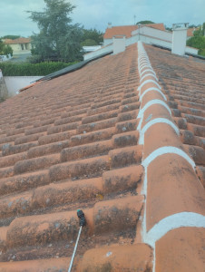 Photo de galerie - Traitement anti mousse avant nettoyage de la toiture 