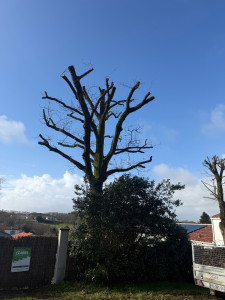 Photo de galerie - Intervention avec nacelle 