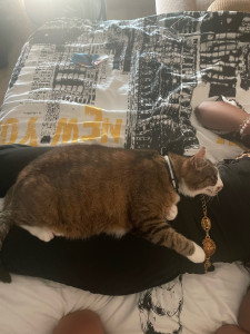 Photo de galerie - Et passer des moments complices avec eux 